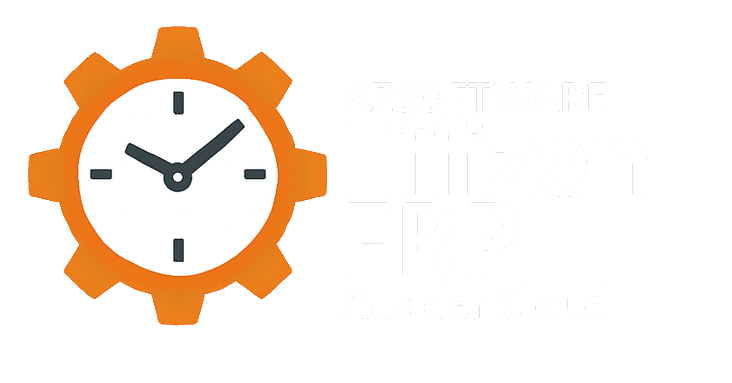 Effizent ERP